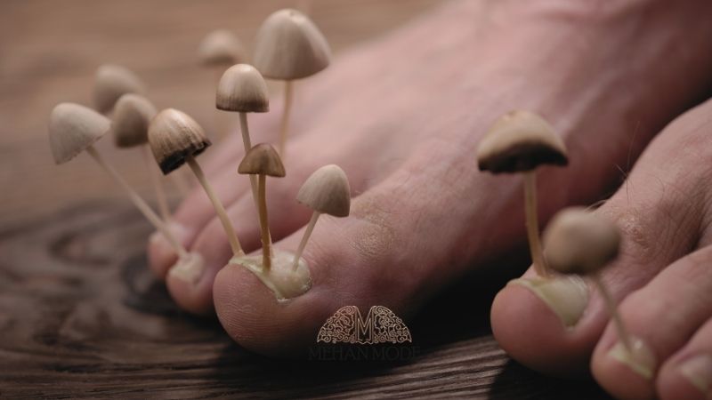 علت اصلی بوی بد کفش چیست؟ چطور آن را از بین ببریم