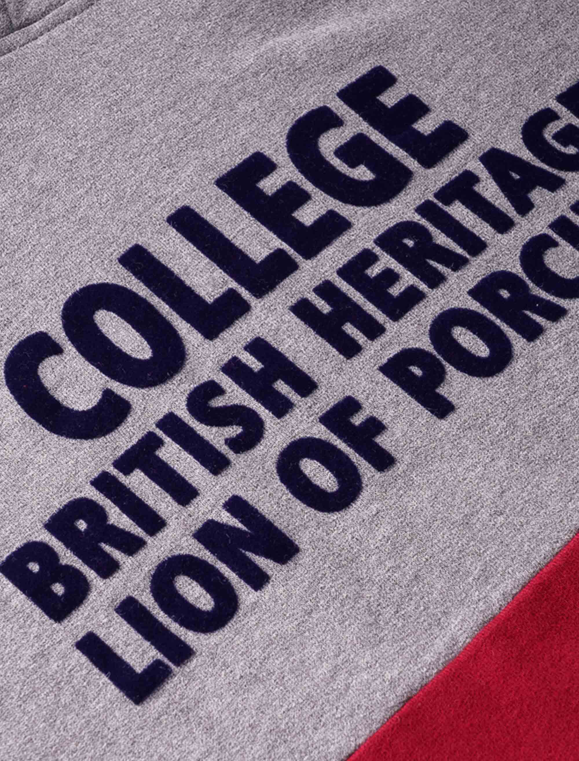 سویشرت و هودی پسرانه