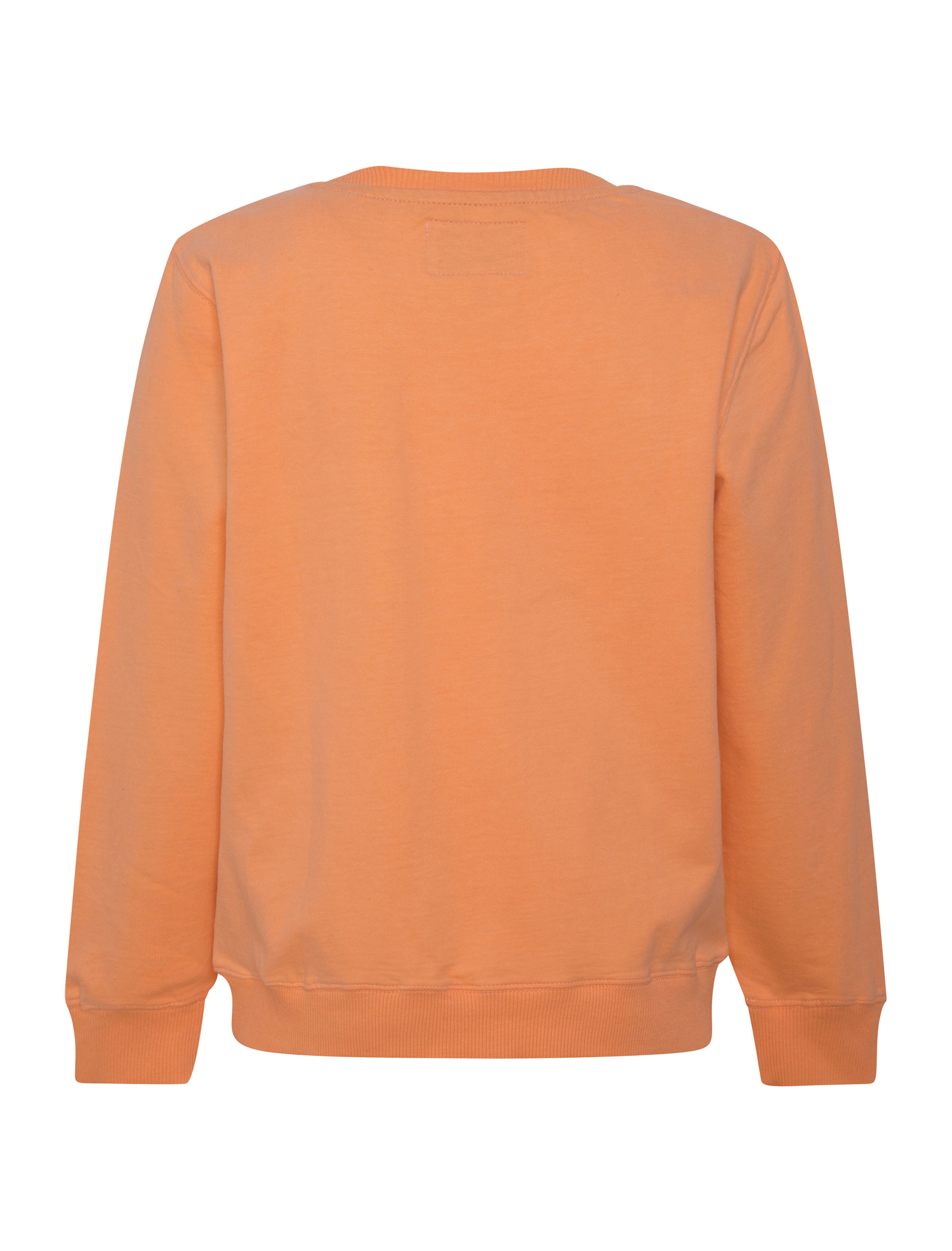 سویشرت و هودی پسرانه