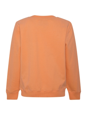 سویشرت و هودی پسرانه