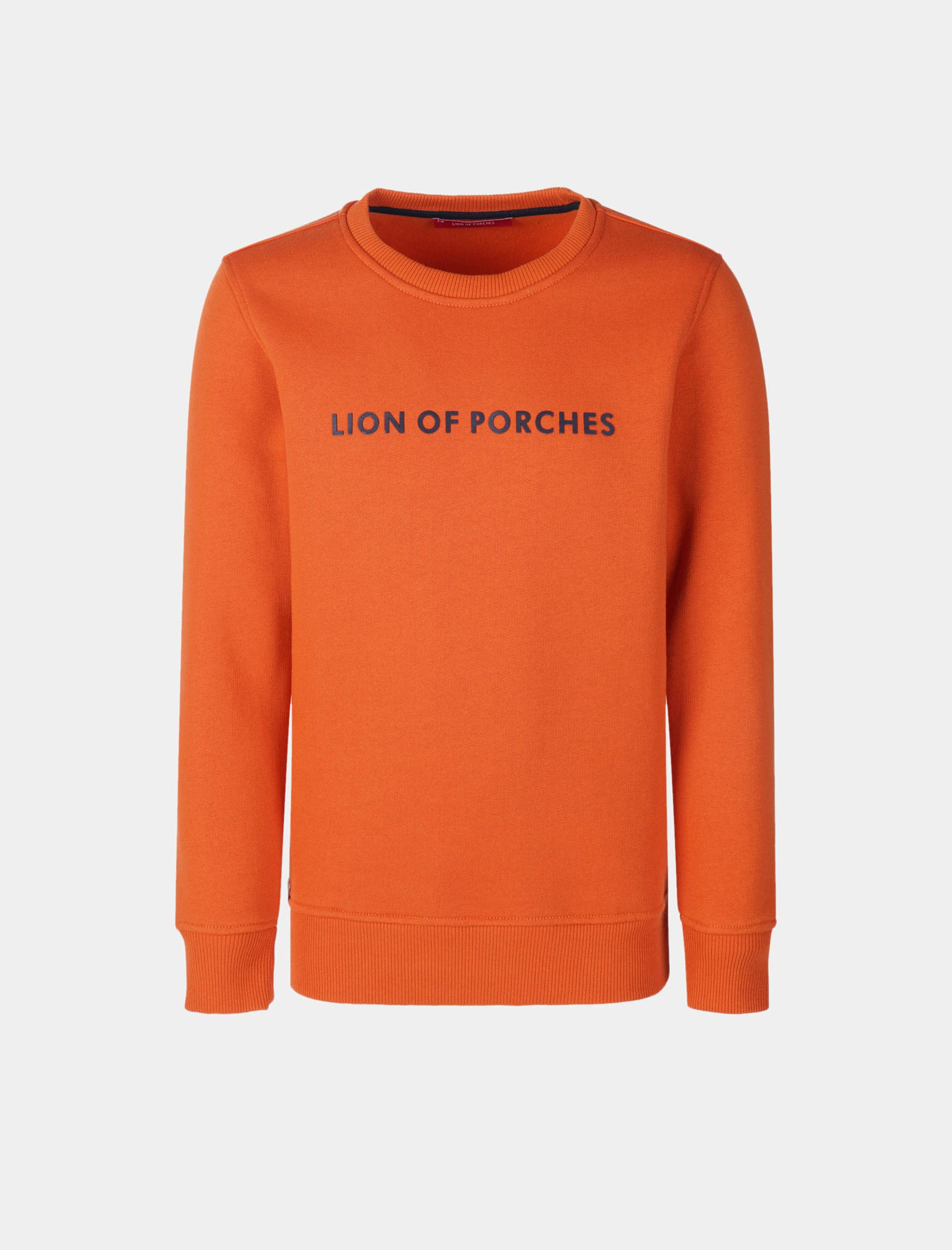 سویشرت و هودی پسرانه