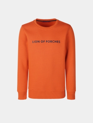 سویشرت و هودی پسرانه