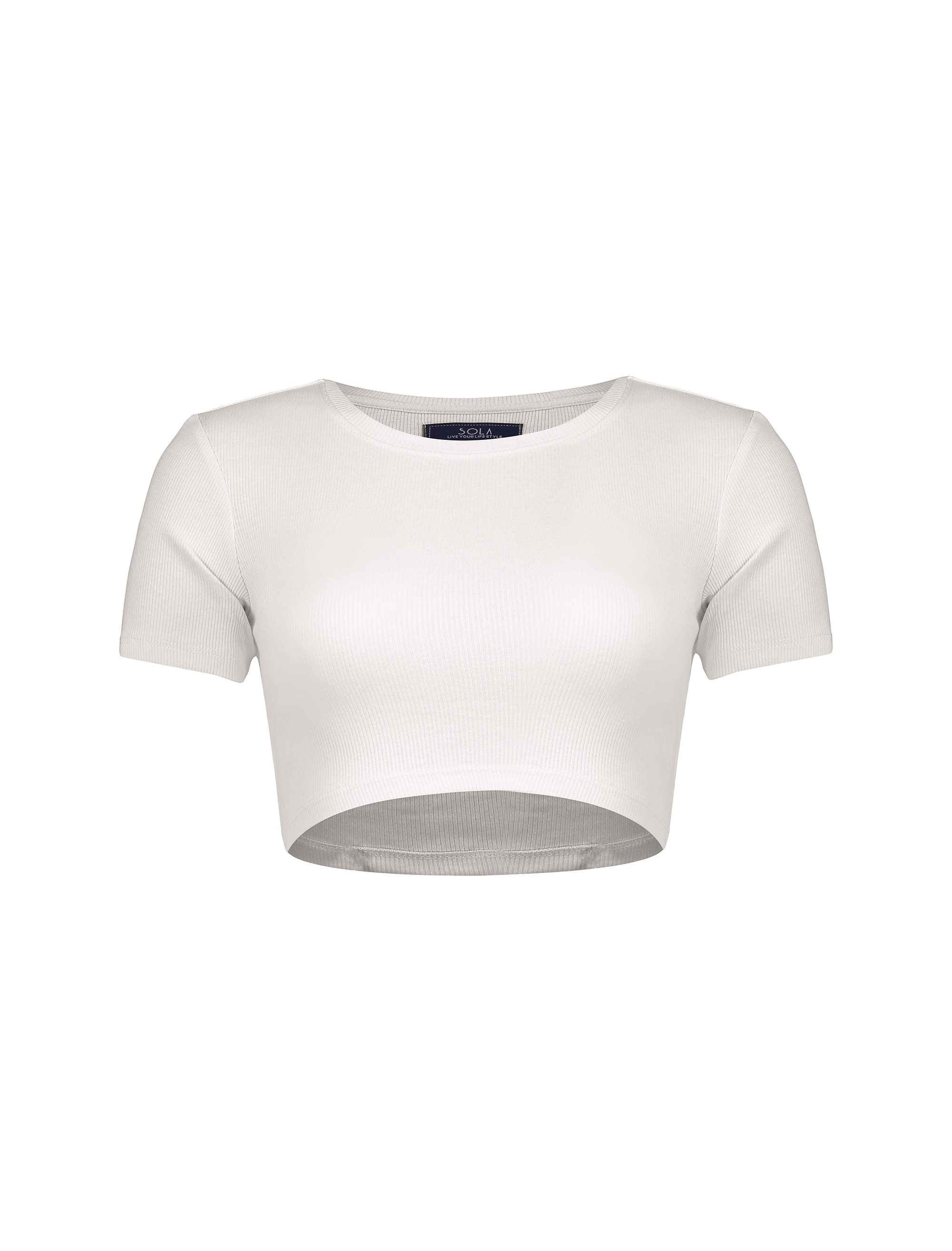 تی شرت زنانه