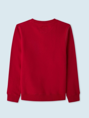 سویشرت و هودی پسرانه