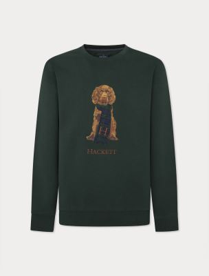 سویشرت و هودی مردانه