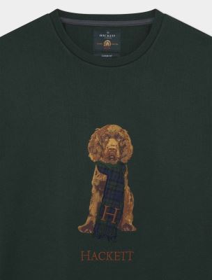 سویشرت و هودی مردانه