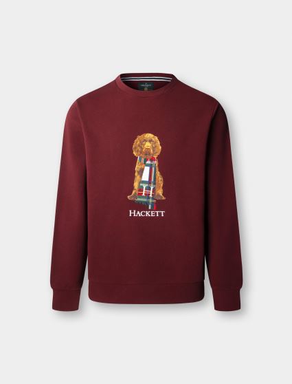 سویشرت و هودی مردانه